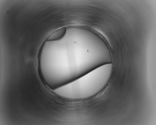 X0000090731467200707200946