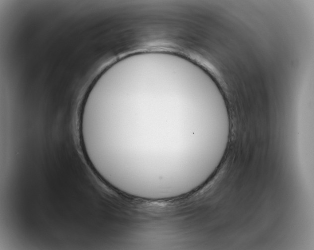 X0000090731470200707200946