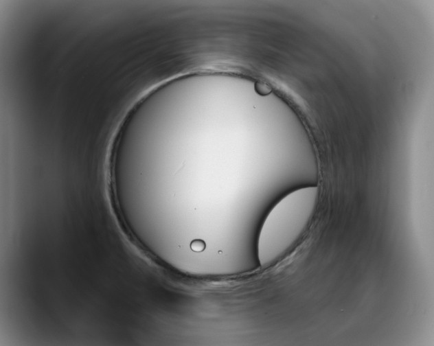 X0000090731471200707200946