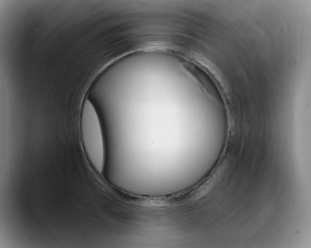 X0000090731473200707200946