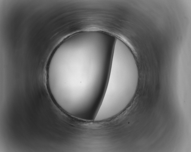 X0000090731476200707200946