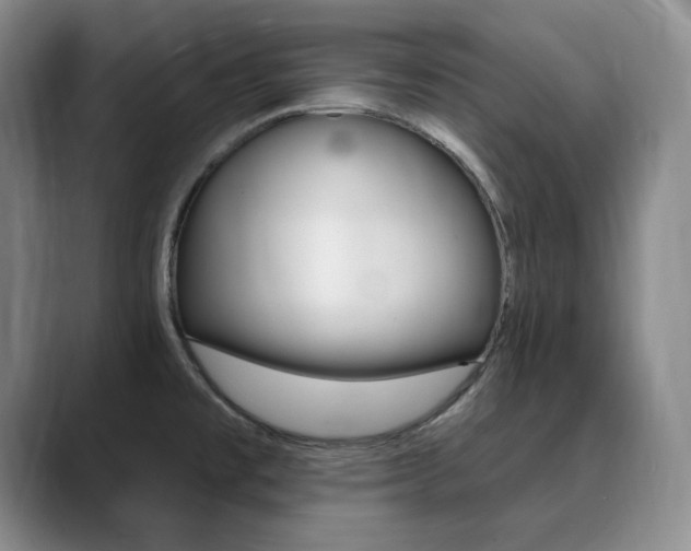 X0000090731477200707200946