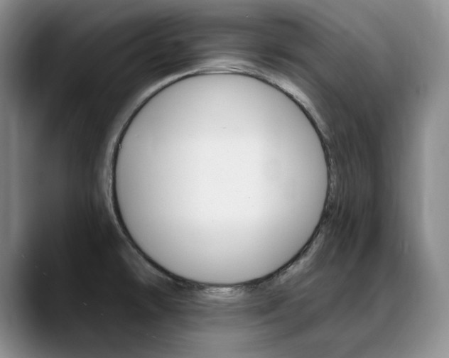 X0000090731478200707200946