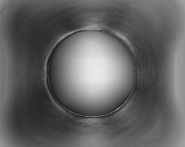 X0000090731479200707200946