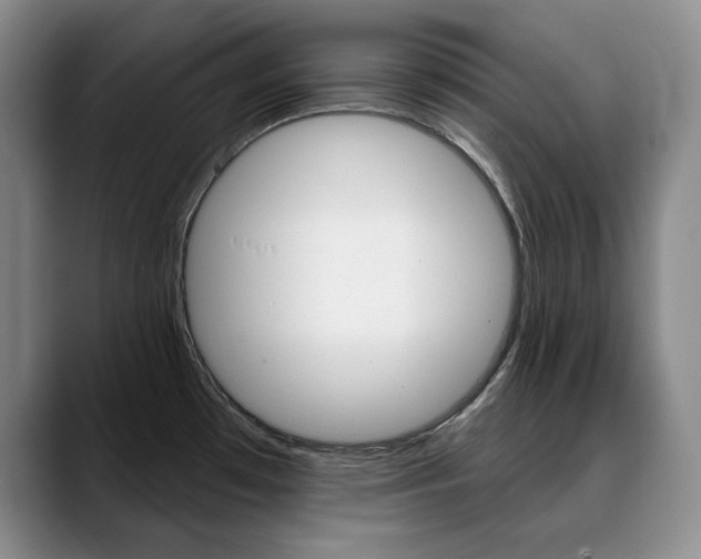 X0000090731481200707200946