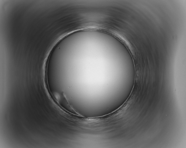 X0000090731483200707200946