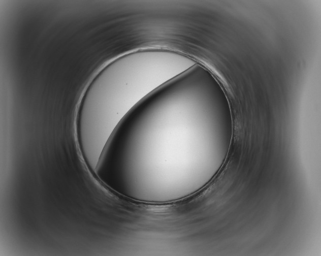 X0000090731484200707200946