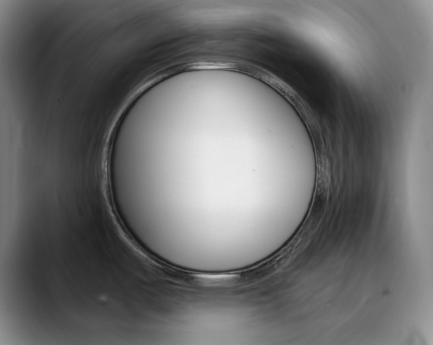 X0000090731487200707200946