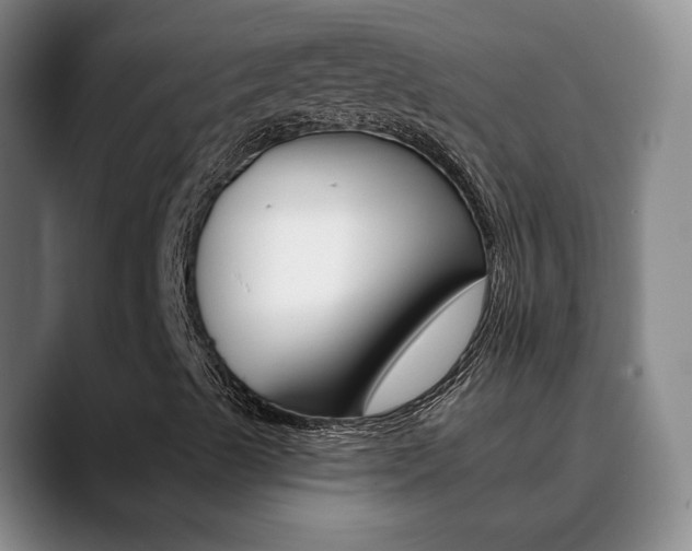X0000090731489200707200946