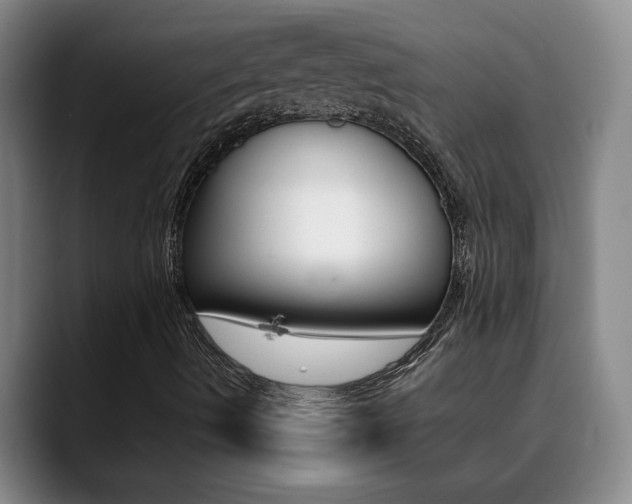 X0000090731490200707200946