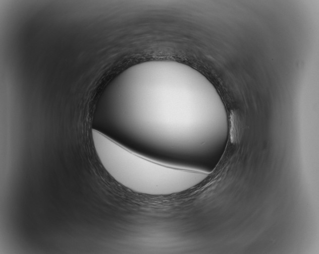 X0000090731491200707200946
