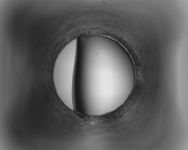 X0000090731493200707200946