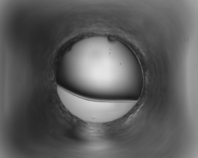 X0000090731494200707200946