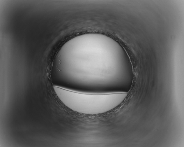 X0000090731495200707200946