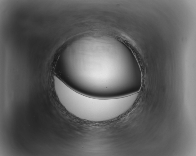 X0000090731496200707200946