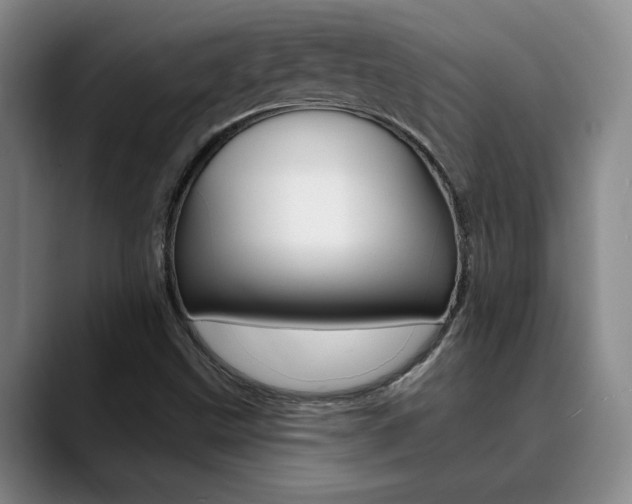 X0000090731499200707200946