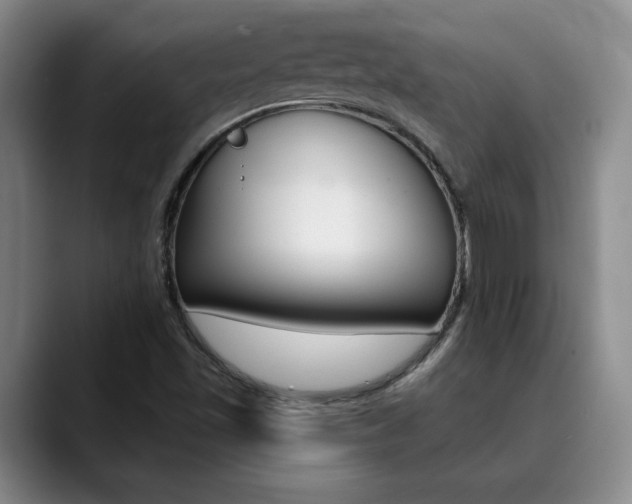 X0000090731501200707200946