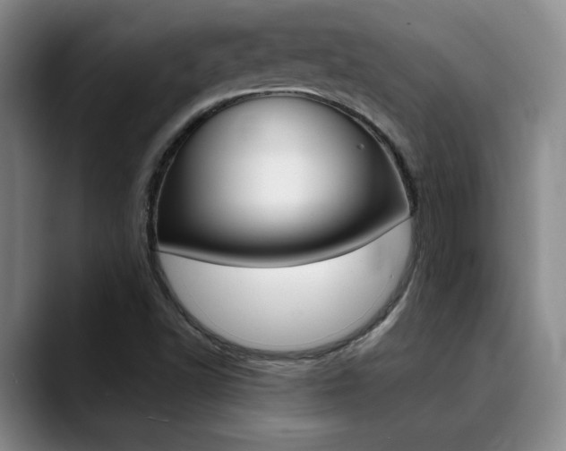 X0000090731502200707200946