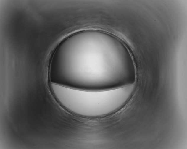 X0000090731504200707200946