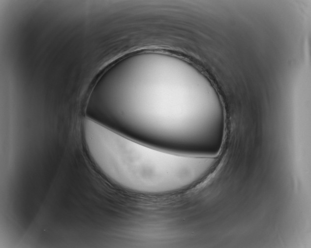 X0000090731505200707200946