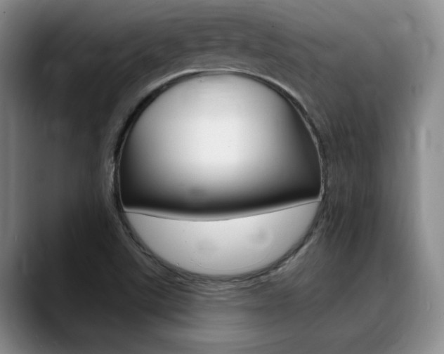 X0000090731507200707200946