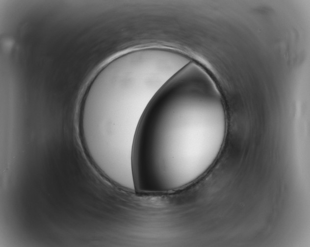 X0000090731508200707200946