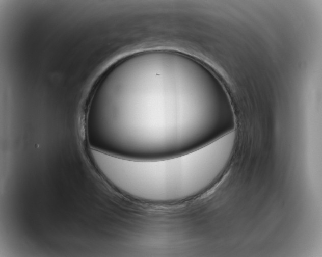 X0000090731510200707200946
