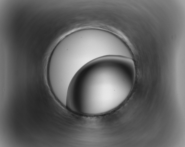 X0000090731512200707200946