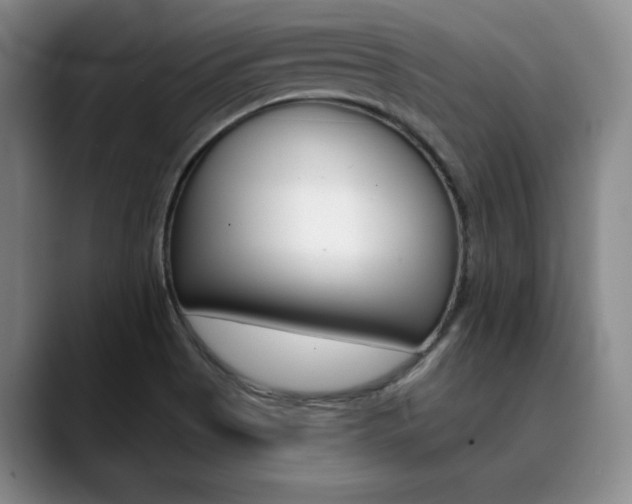 X0000090731513200707200946