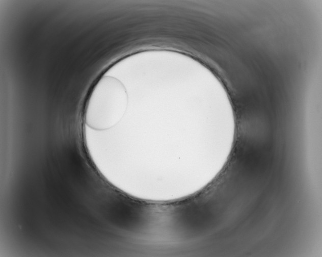 X0000090731514200707200946