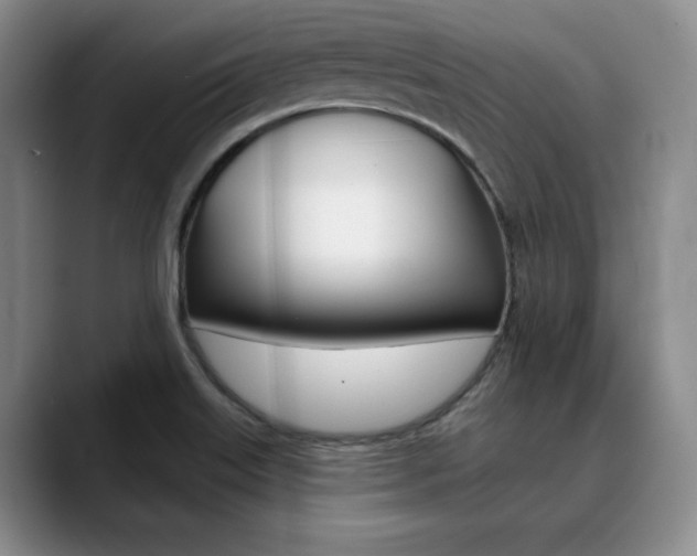 X0000090731515200707200946
