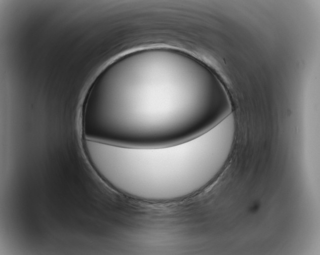 X0000090731516200707200946