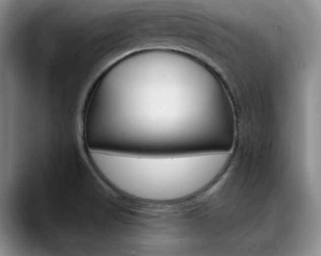 X0000090731517200707200946