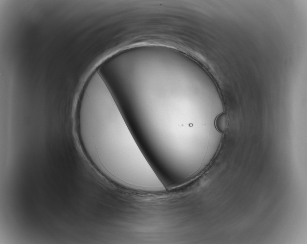 X0000090731522200707200946