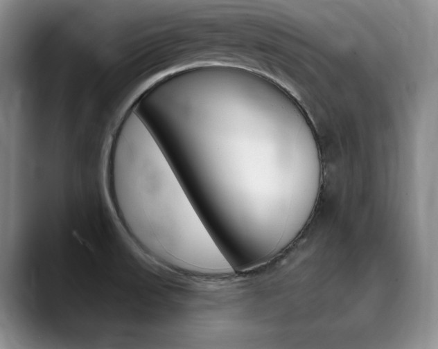 X0000090731523200707200946