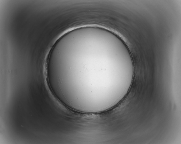 X0000090731526200707200946