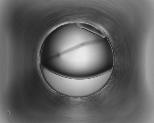 X0000090731528200707200946