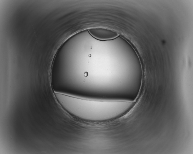 X0000090731529200707200946