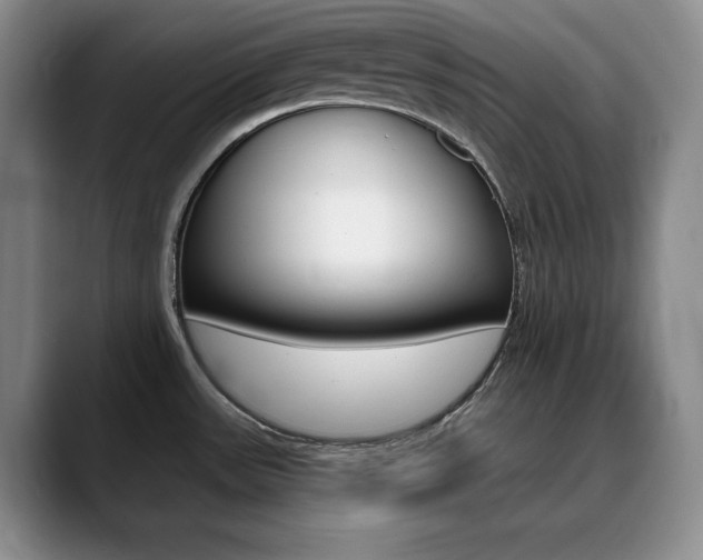 X0000090731531200707200946