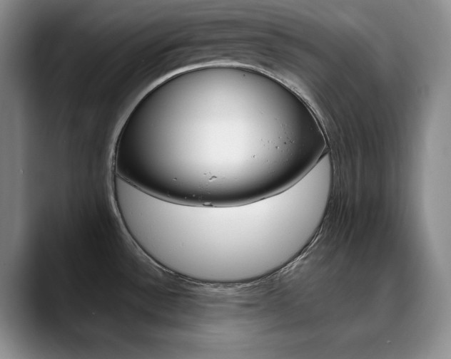 X0000090731532200707200946