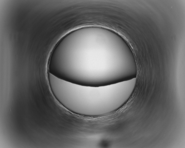 X0000090731535200707200946