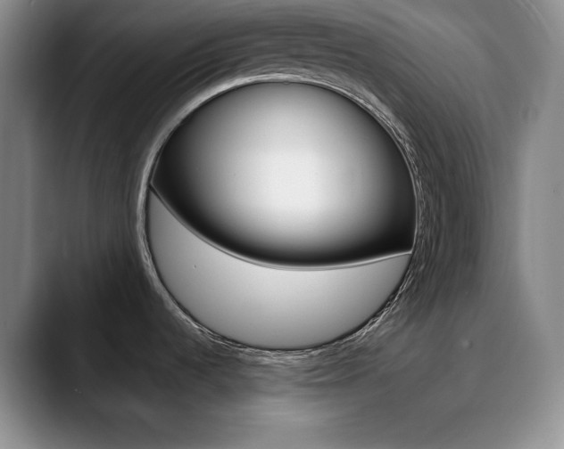 X0000090731536200707200946