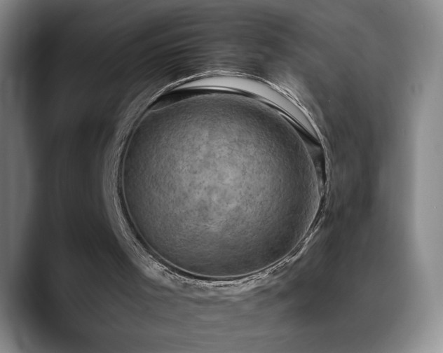 X0000090730001200707201418