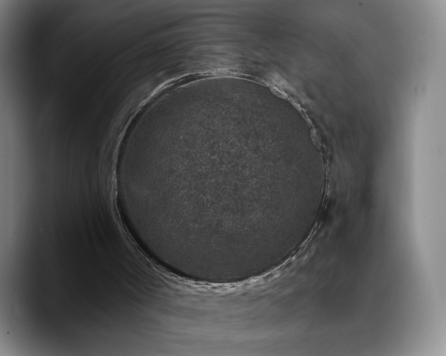 X0000090730002200707201418