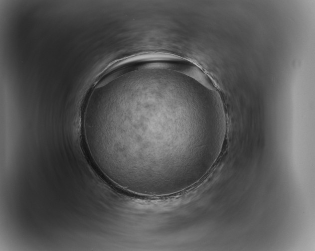 X0000090730005200707201418