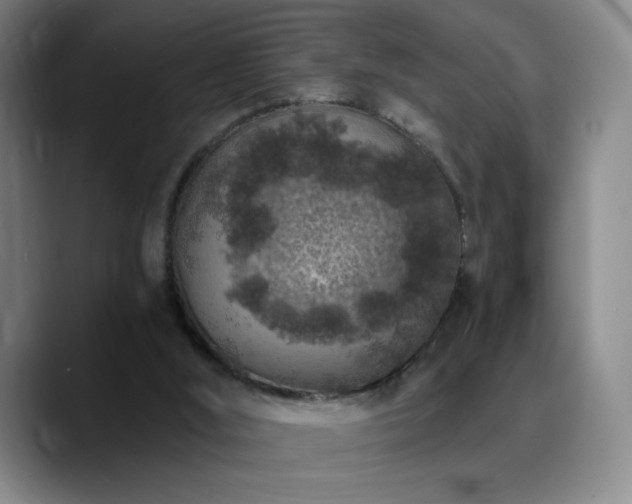 X0000090730012200707201418