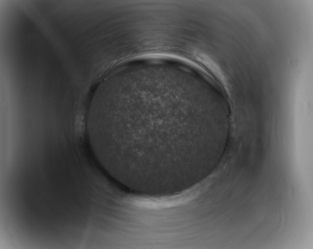 X0000090730017200707201418