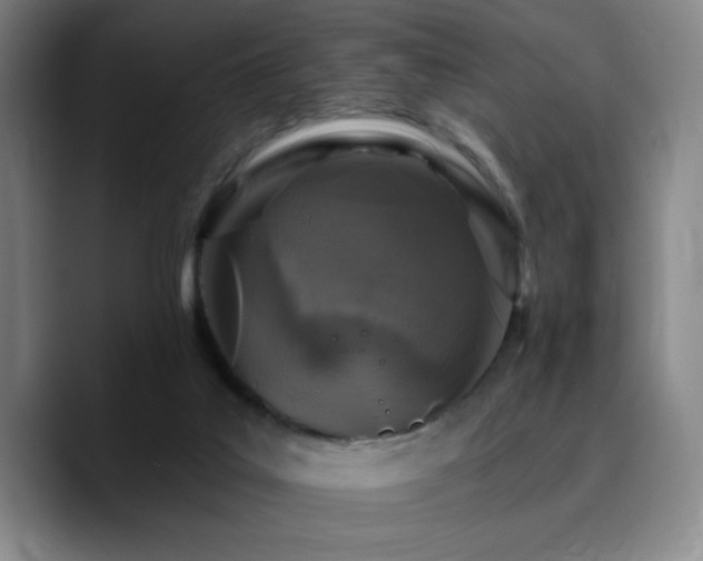 X0000090730019200707201418