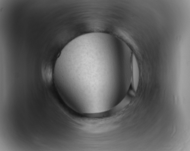 X0000090730021200707201418