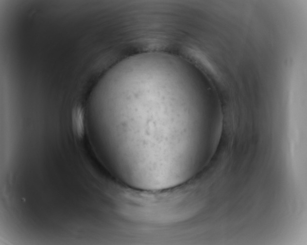 X0000090730022200707201418
